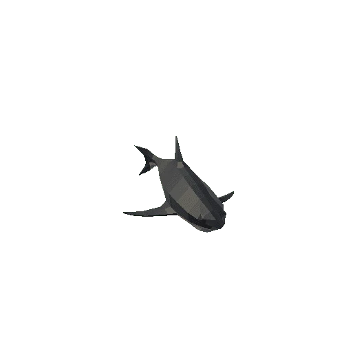 Shark Black